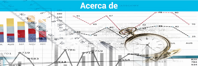 Acerca-de-Estrategia Digital
